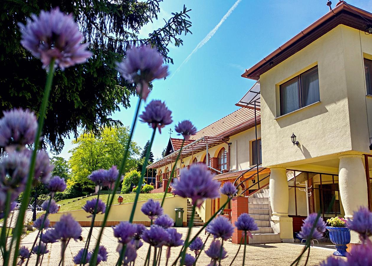 Villa Телекі Екстер'єр фото